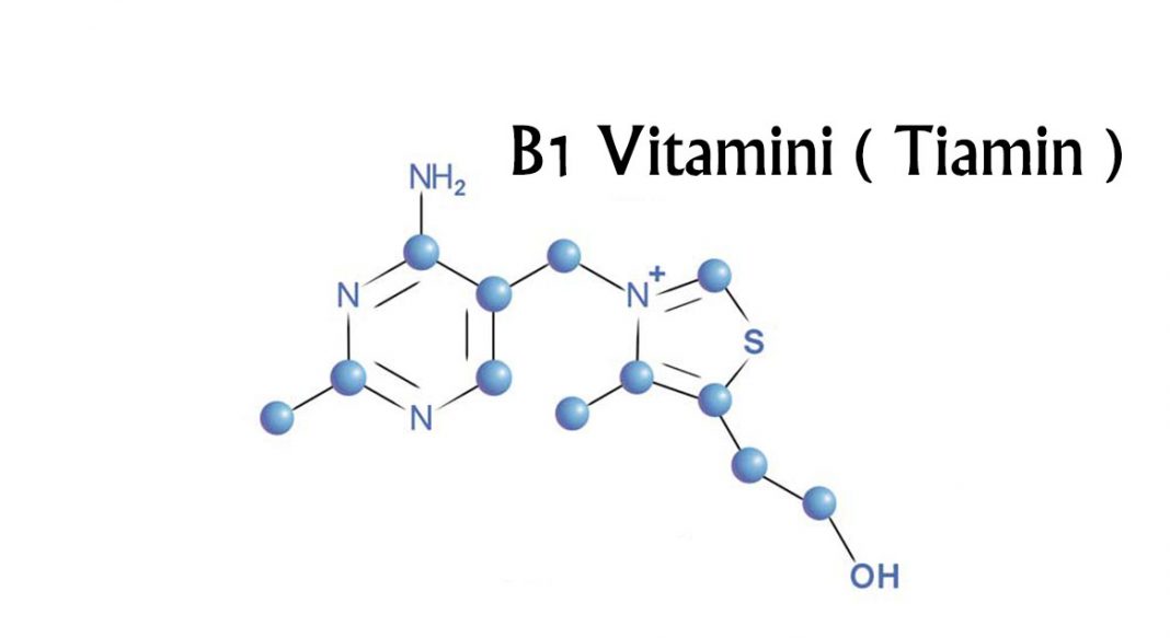 B1 Vitamini ( Tiamin ) yeni