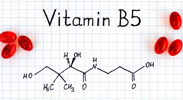 B5 Vitamini yeni