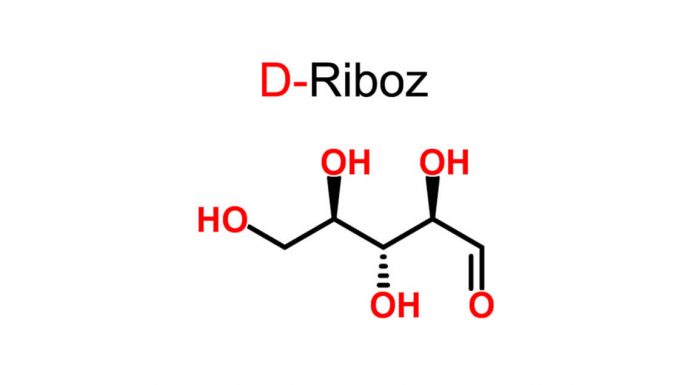 D-Riboz yeni