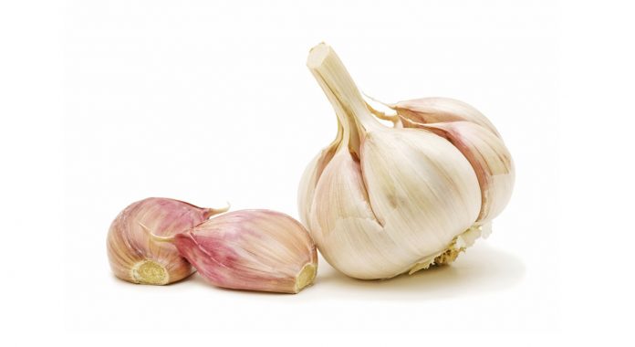 Garlic ( Sarimsak ) yeni 1