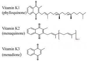 Struktur Kimia Vitamin K