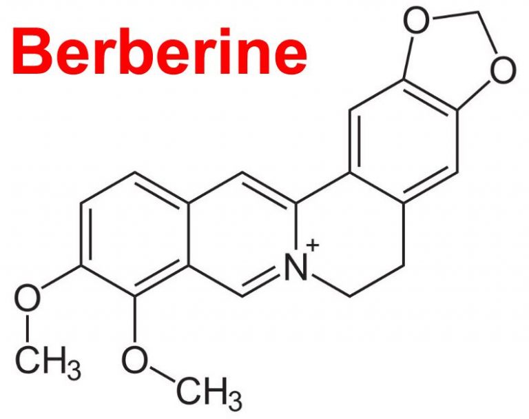 Berberine Nedir ?