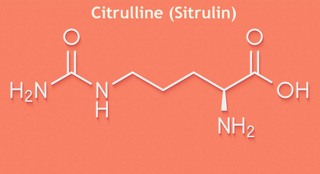 Citrulline (Sitrulin) yeni
