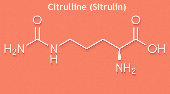 Citrulline (Sitrulin) yeni
