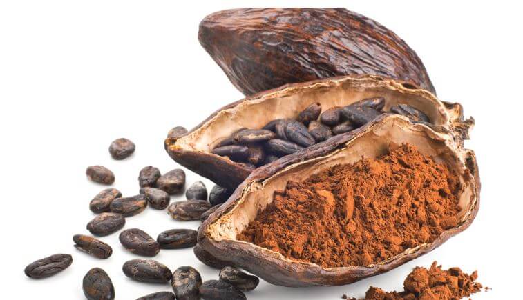 kakaonun böbreklere etkisi