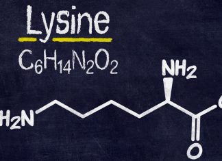 Lysine (Lizin) yeni