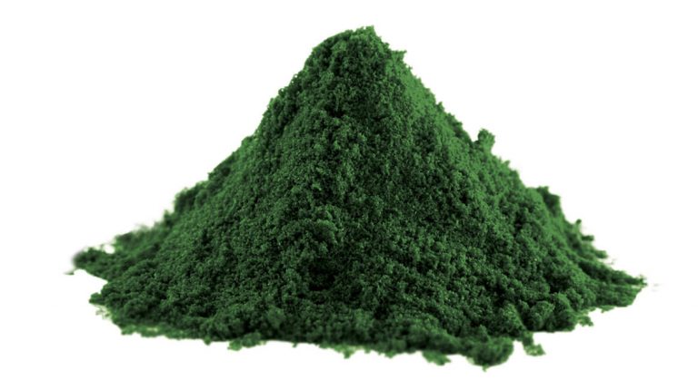 Spirulina-1