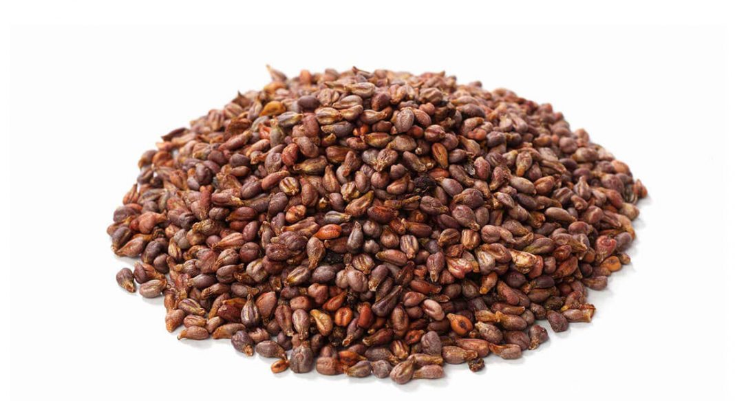 Uzum Cekirdegi Ekstresi (Grape Seed Extract) yeni 1