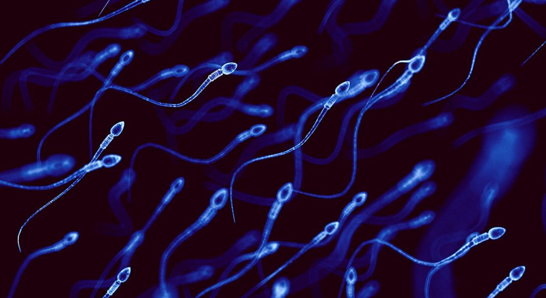Sperm ve Protein yeni