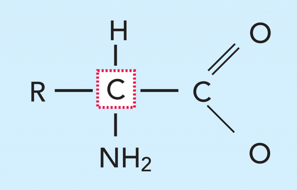 Casein Chemical Structure